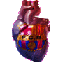 fcbarcelona